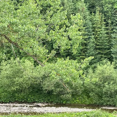 Pokoj Dwuosobowy Poroniec 4 Homestay Poronin